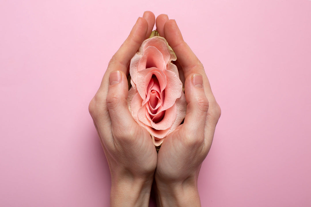 Hands holding a pink rose against a pink background.