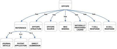 An ontology for immune epitopes: application to the design of a broad scope database of immune reactivities