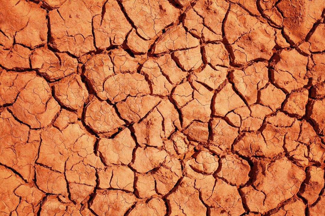Image of dry, cracked earth