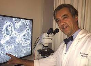 A Comprehensive Guide to Aerobic Vaginitis (AV)